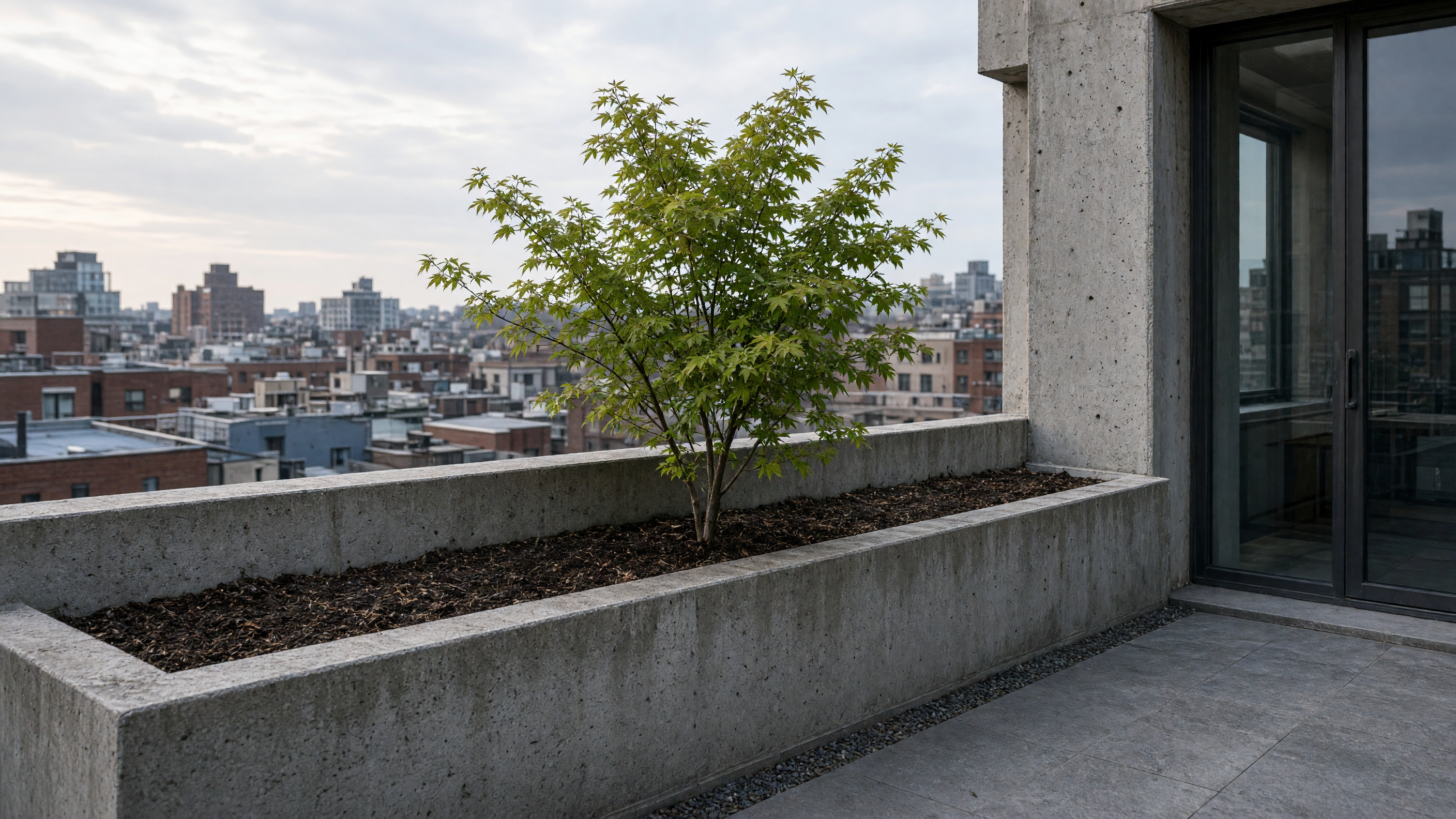 A concrete planter set into the parapet wall holds the soil depth for a small maple.